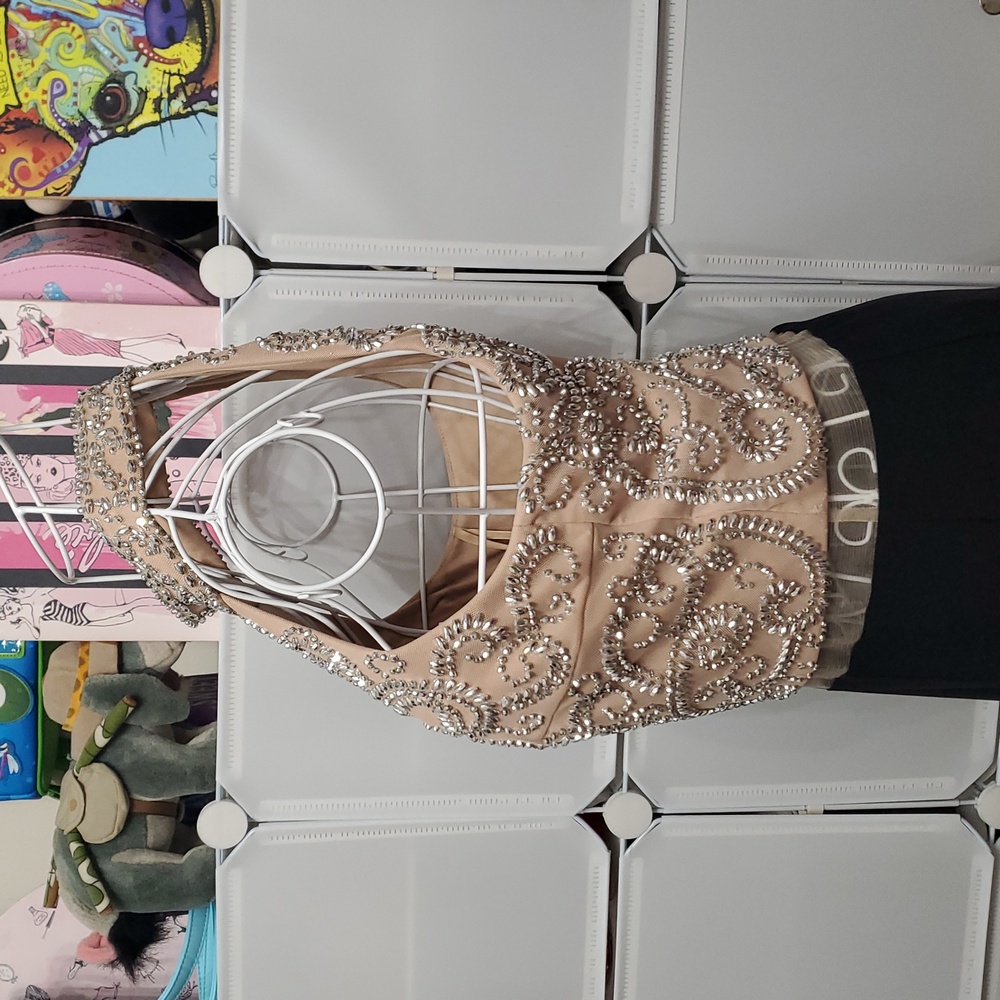 Cachet Beaded Gown Size 6 - Picture 6 of 11